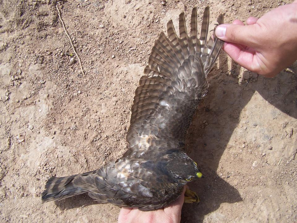 FIGURE 4 FIGURE 4